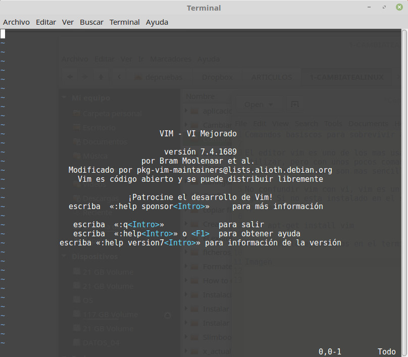 Editor Vim Editor Vim