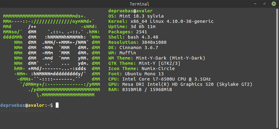 Informacion del sistema en el terminal