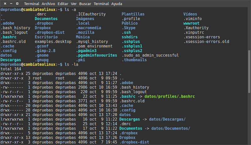 Ver archivos ocultos desde el terminal Ver archivos ocultos desde el terminal