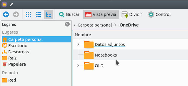 Explorador de archivos - onedrive