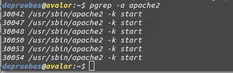 PID de apache PID de apache class=