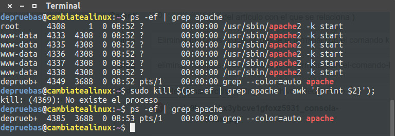 Eliminar procesos de apache