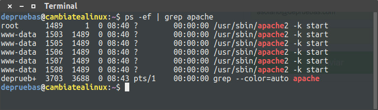 Procesos de apache Procesos de apache