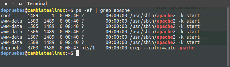 Procesos de apache