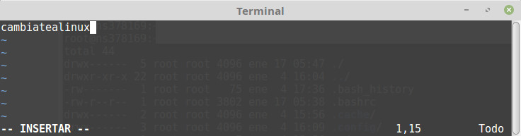 Editar el fichero hostname