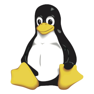 Como instalar varias distribuciones Linux juntas