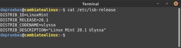 Actualizacion LinuxMint 20.1 - Ulyssa