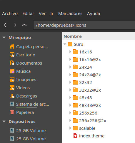 Contenido carpeta suru Contenido carpeta suru