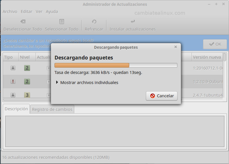 actualizando el sistema