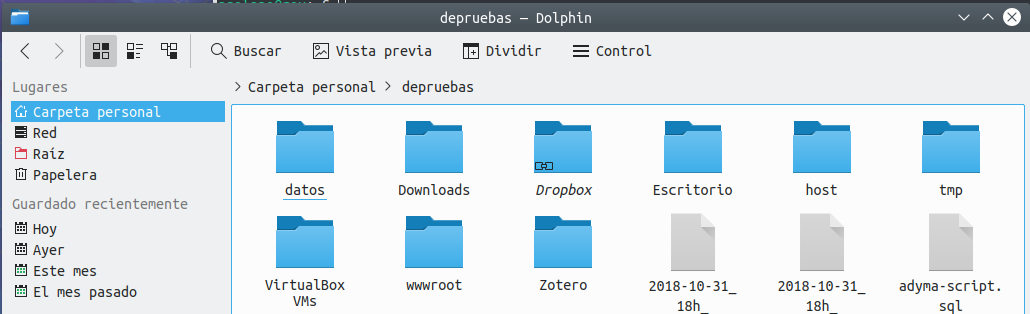 Explorador de archivos - dolphin