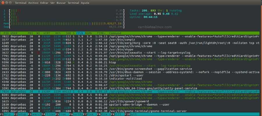 htop - Información de los procesos htop - Información de los procesos